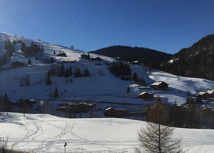 Chalet-Hotel Du Borderan