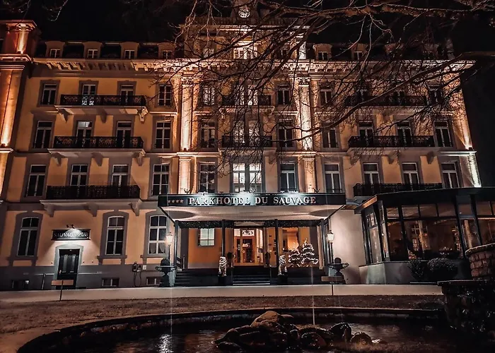 Parkhotel Du Sauvage