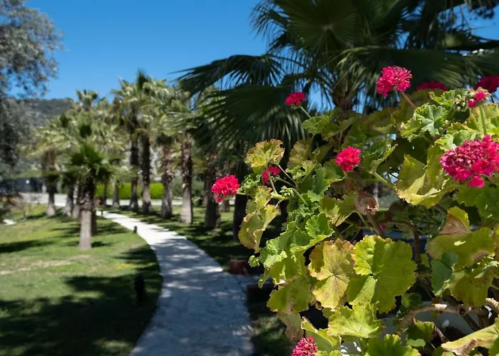 X Life Hotel Sarigerme 15 - Adult Hotel