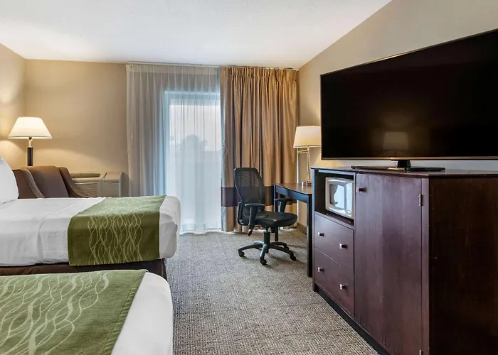 Comfort Inn Lansing West