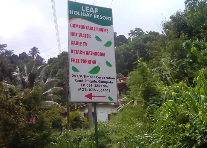 Leaf Guest House