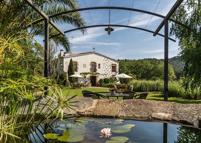 Can Rosich