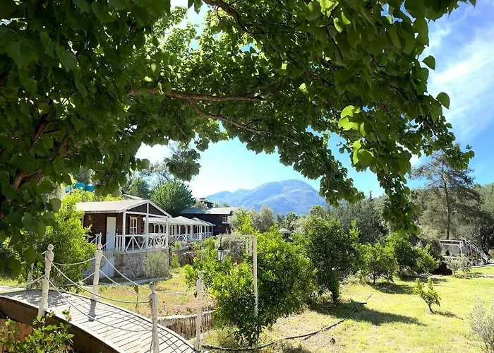 Angels Garden