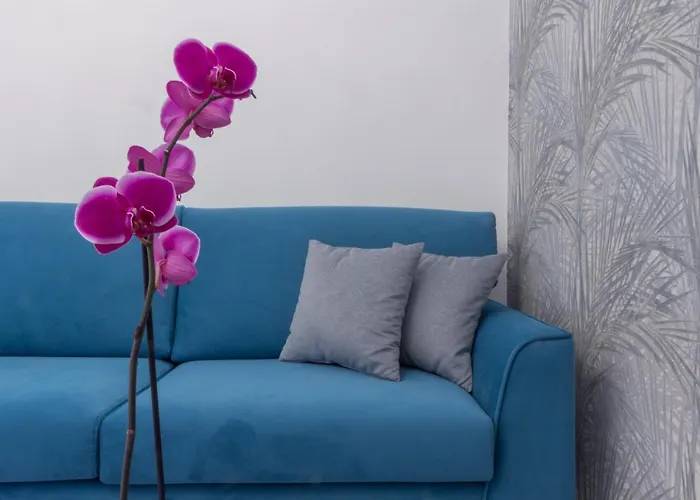 Villa Valverde Apartments E B&B