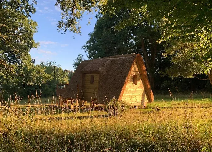 Le Domaine De La Briandais, Experience De Sobriete Electromagnetique
