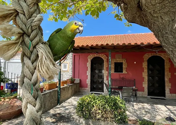 Terracotta Boutique Beach Studios