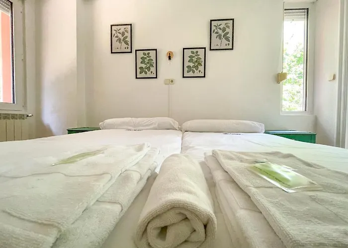 Arena Surf Hotel