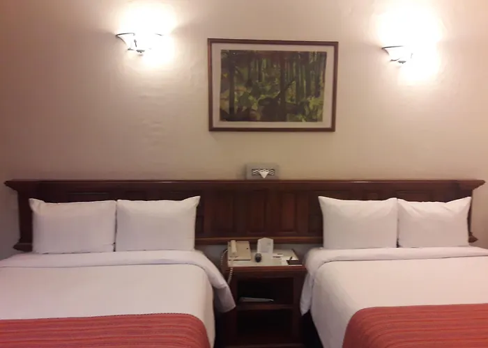 Hotel Alameda Centro Historico