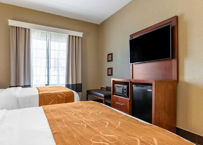 Comfort Suites Grand Rapids South