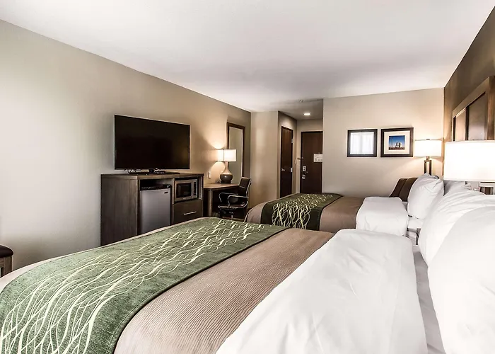 Comfort Inn & Suites Snyder