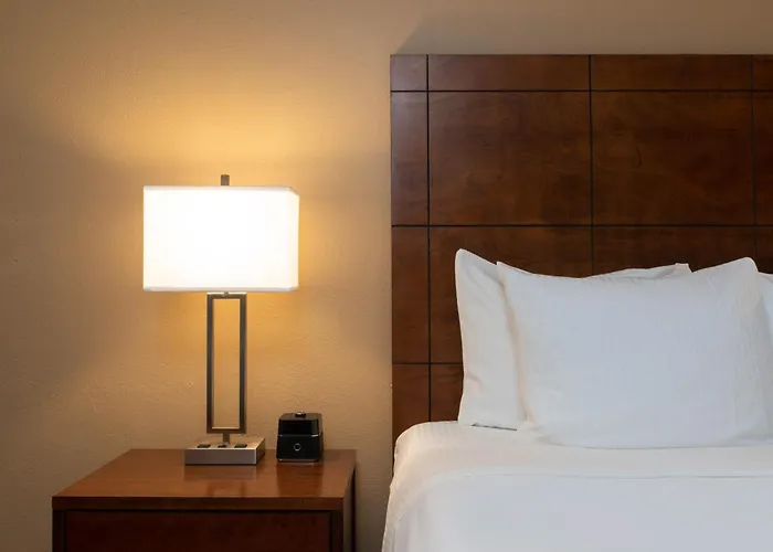 La Quinta By Wyndham Clearwater Central