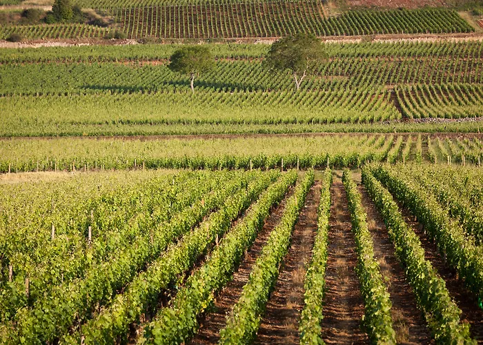Kyriad Prestige Beaune le Panorama