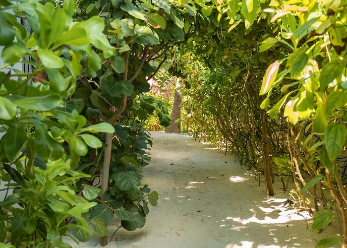 Tago Tulum By G Hotels