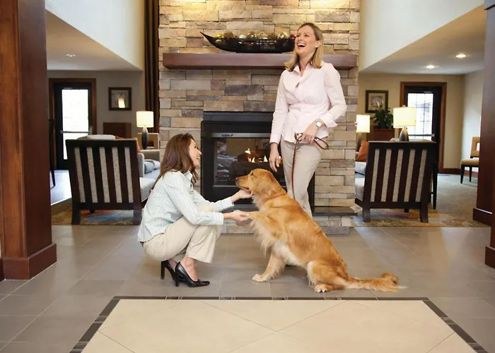 Staybridge Suites - Cedar Park - Austin N By Ihg