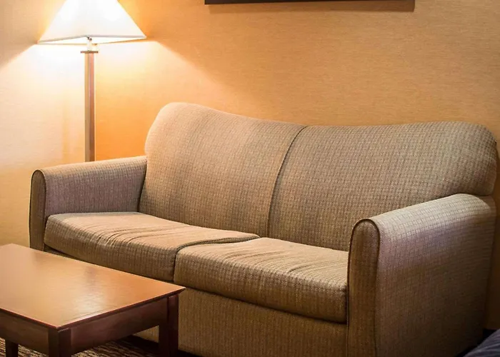 Quality Inn & Suites Port Huron