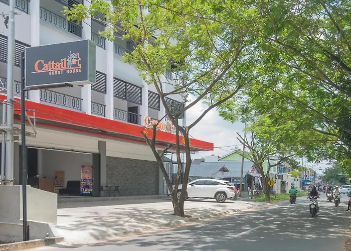 Cattail Guest House Pontianak