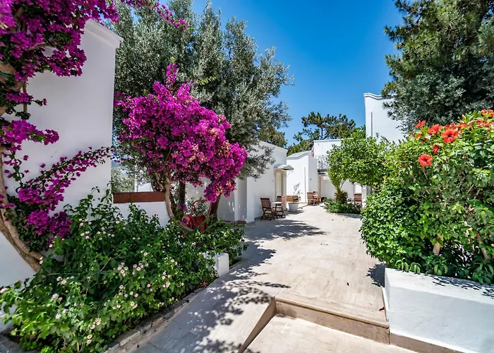 Manzara Boutique Hotel - Adults Only