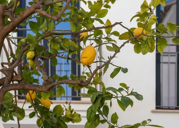 Opuntia Hotel Boutique