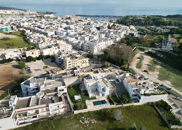 Bluotranto