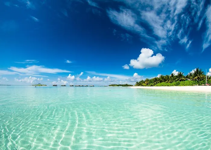 Absolute Beachfront Villas