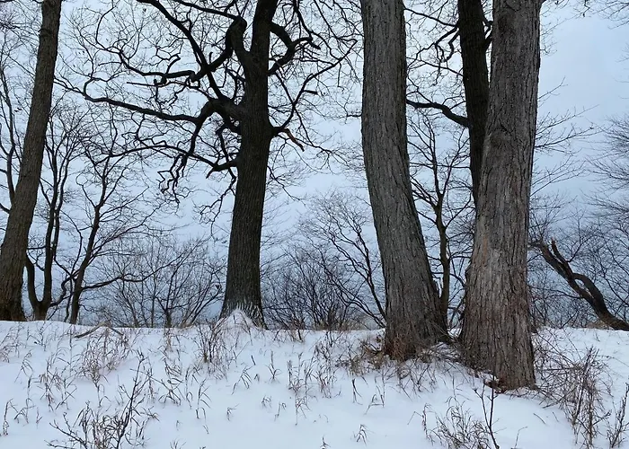 The Sanctuary At Deer Dune , Saugatuck