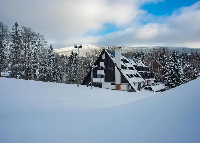 Wellness Hotel Šedý Vlk