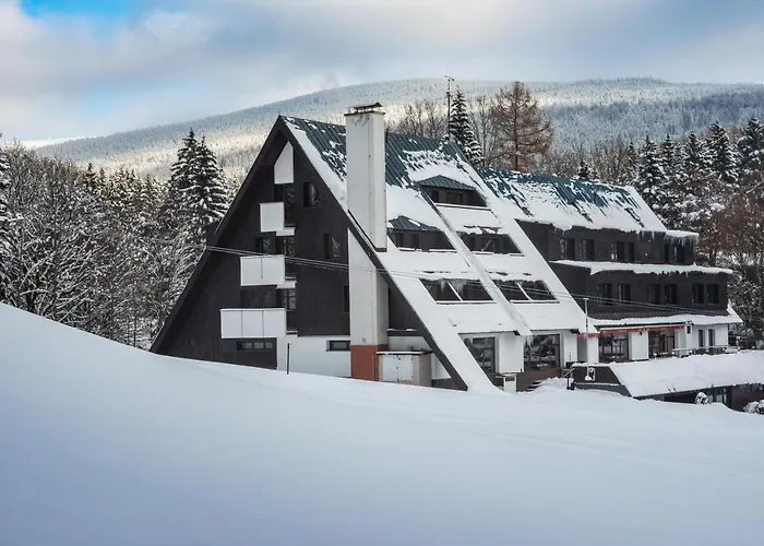 Wellness Hotel Šedý Vlk