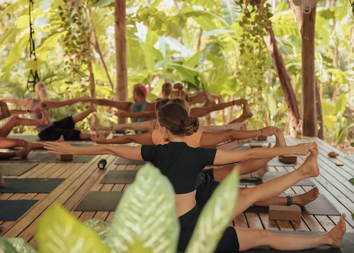 Zeneidas Surf Garden