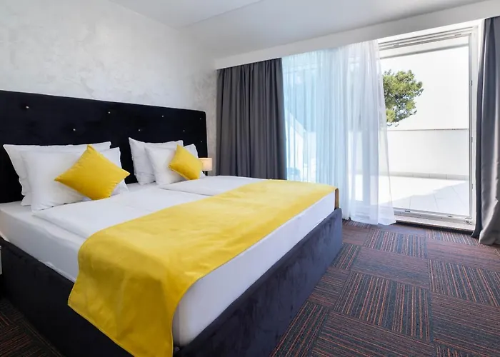 Hotel Bor