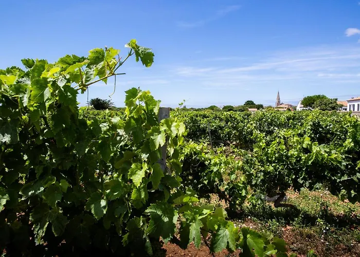 Hotel Les Vignes De La Chapelle, "The Originals Relais"
