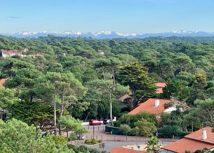 Vue De L'Ocean A La Foret, La Plage A Vos Pieds