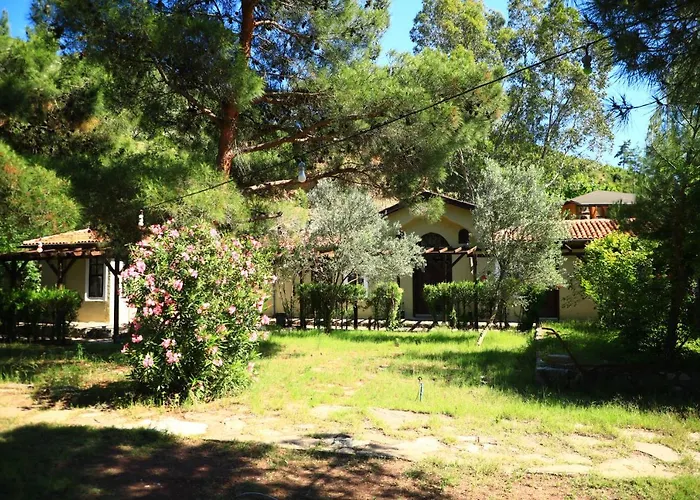 Eski Yeni Tatil Evi Olympos