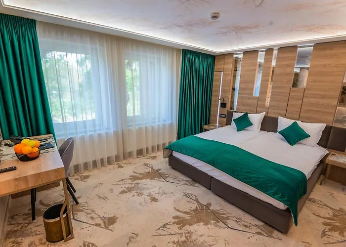 Hotel Codrisor