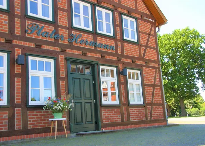 Plater Hermann