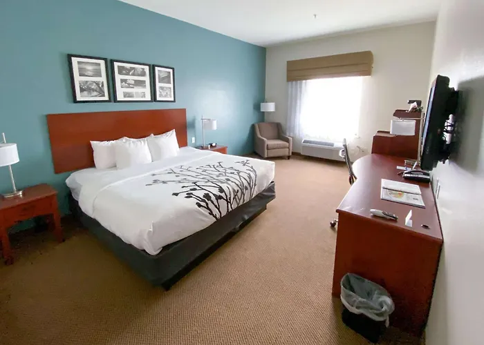 Sleep Inn & Suites Pearland - Houston South