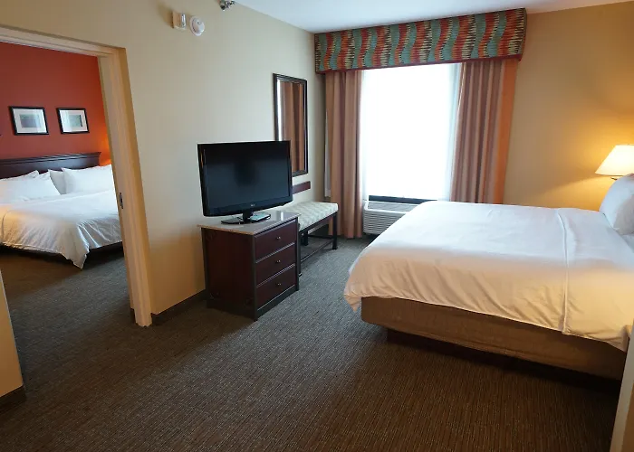 Holiday Inn Express & Suites Tampa Northwest-Oldsmar By Ihg