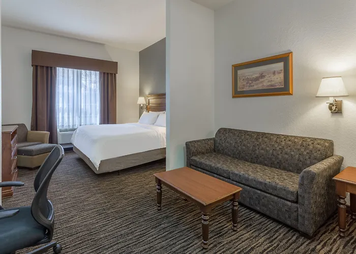 Comfort Inn & Suites Mt Rushmore