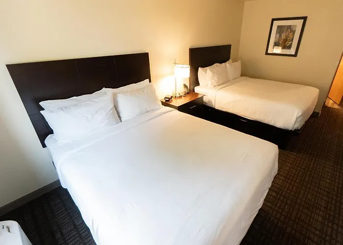 Cobblestone Hotel & Suites-Sheldon