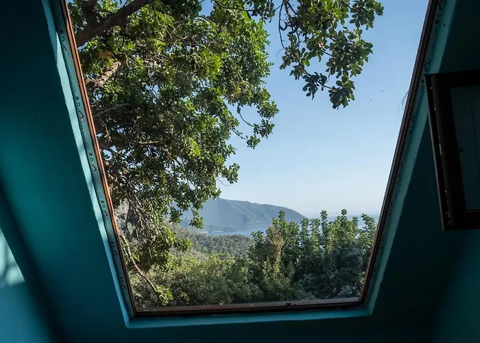 Goat Bungalow&Camping
