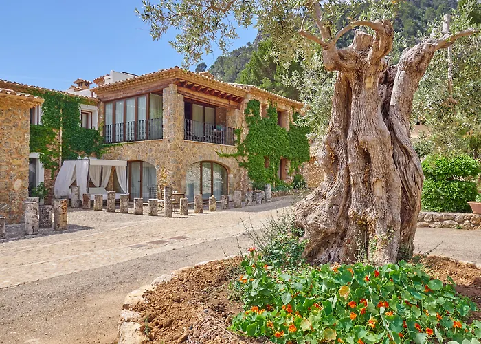 Finca Albellons