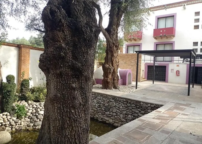 Hotel Boutique Casa Del Bosque
