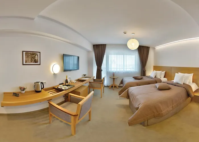 Hotel Condor Tulcea