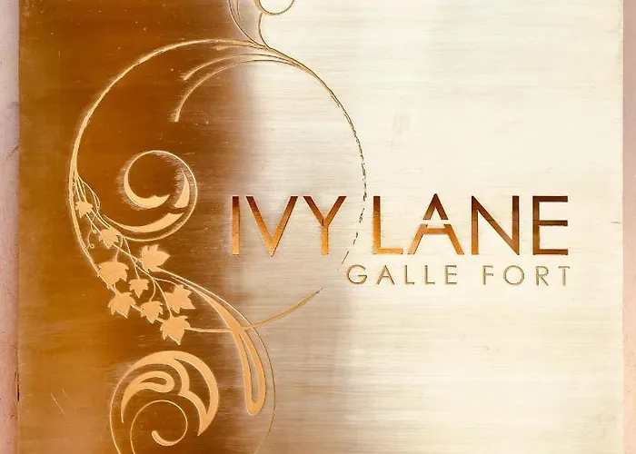 Ivy Lane Galle Fort