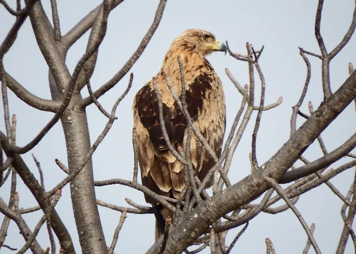 Selwane Nature Reserve