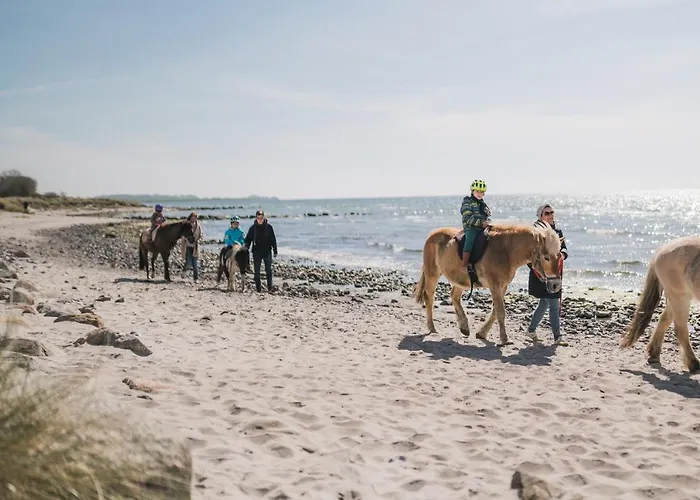 Büdlfarm - Der Familien-Erlebnishof in Strandnähe