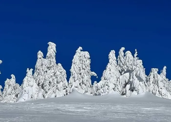 Ski hotel DOBRODOLAC