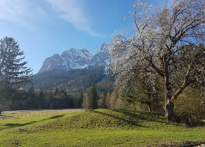 Zum Franziskaner