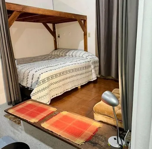 Jaguar Studio