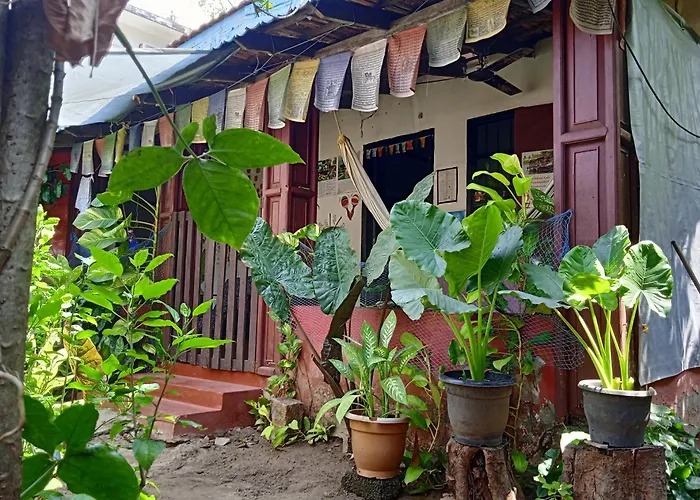 The Blues Hostel
