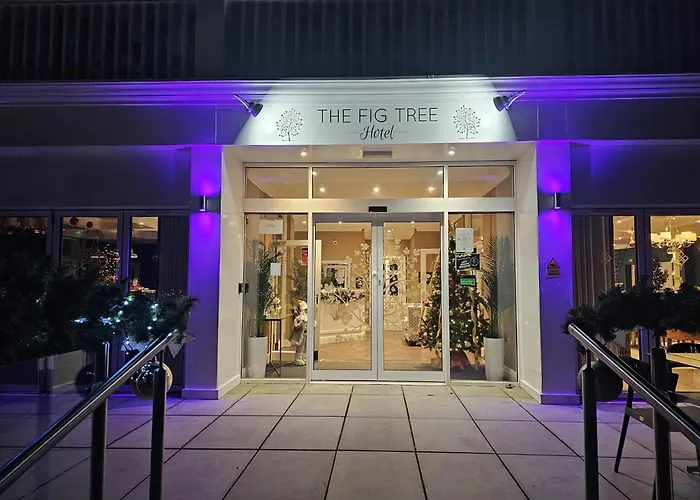 The Fig Tree Shanklin